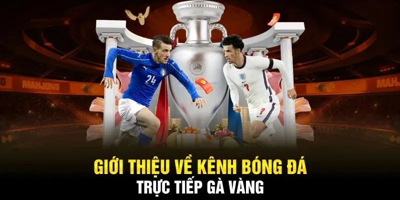 Giới thiệu gà vàng tv trang xem trực tiếp bóng đá