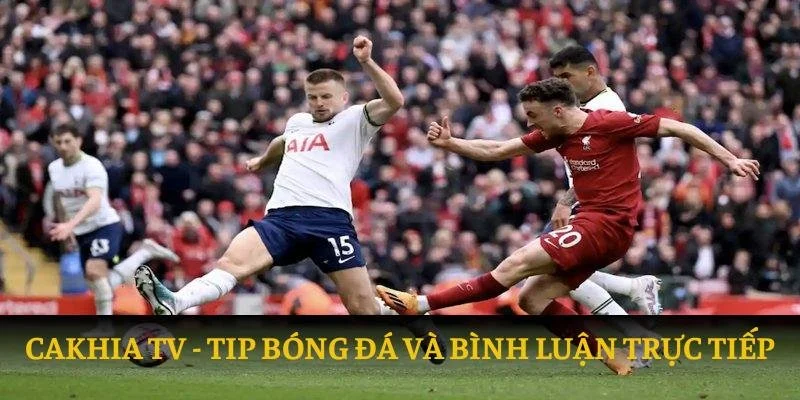 Cakhia tv: tip bóng đá và bình luận trực tiếp